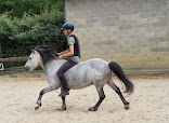 Horse in the City thumb 8
